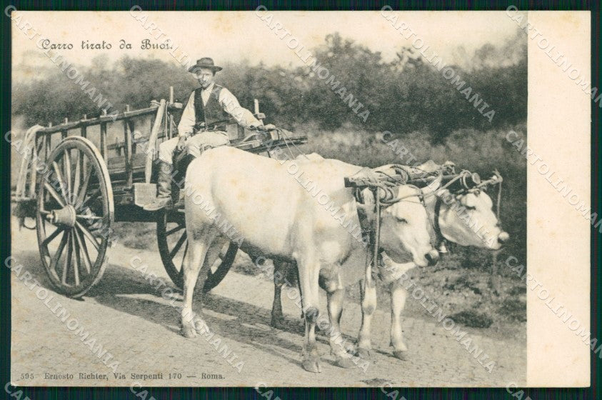 Roma Città Costumi Carro Tirato dai Buoi cartolina MX1854 – fronte