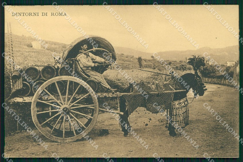 Roma Città Costumi Carrettiere a Vino cartolina MX1860 – fronte