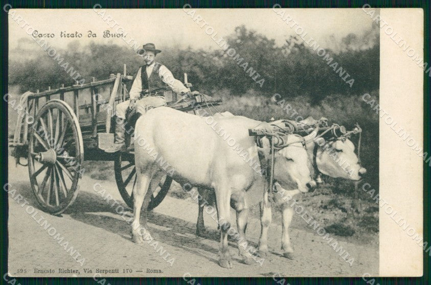 Roma Città Costumi Carro Tirato dai Buoi cartolina MX1864 – fronte