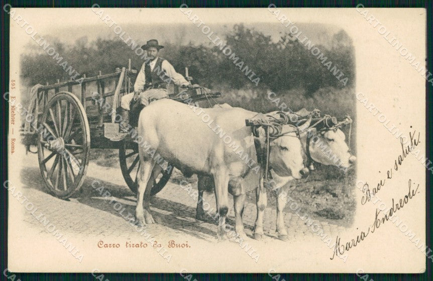 Roma Città Costumi Carro Tirato dai Buoi cartolina MX1865 – fronte