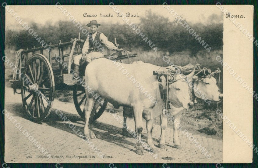 Roma Città Costumi Carro Tirato dai Buoi cartolina MX1871 – fronte
