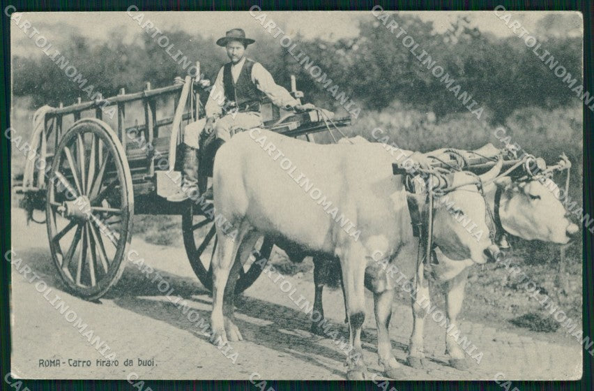 Roma Città Costumi Carro Tirato dai Buoi cartolina MX1877 – fronte