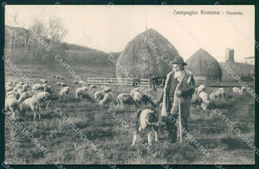 Roma Città Mestieri Pecoraio Brunner 6774 cartolina MX1886 – fronte