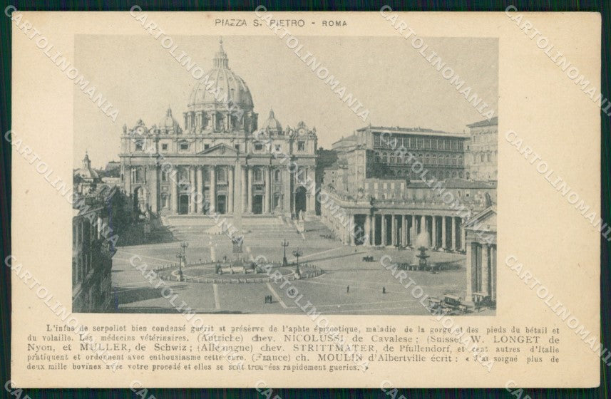 Roma Città Piazza San Pietro cartolina MX2045 – fronte
