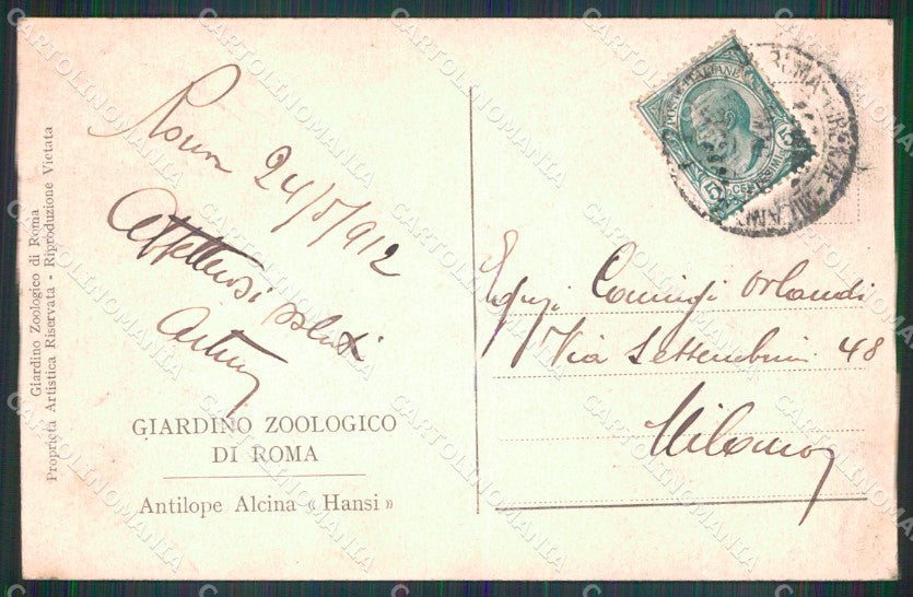 Roma Città Giardino Zoologico Antilope Alcina cartolina MX2118 – retro