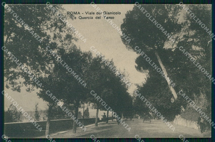 Roma Città Viale del Gianicolo Quercia del Tasso cartolina MX2133 – fronte