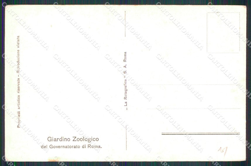 Roma Città Giardino Zoologico Ingresso cartolina MX2317 – retro