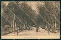 Roma Città Viale del Pincio Alterocca 5385 cartolina MX2418 – fronte