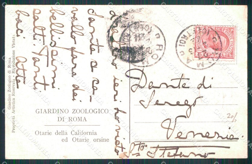 Roma Città Giardino Zoologico Otarie California Orsine cartolina MX2644 – retro