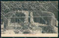 Roma Città Lupa Capitolina Alterocca 71822 cartolina MX2648 – fronte