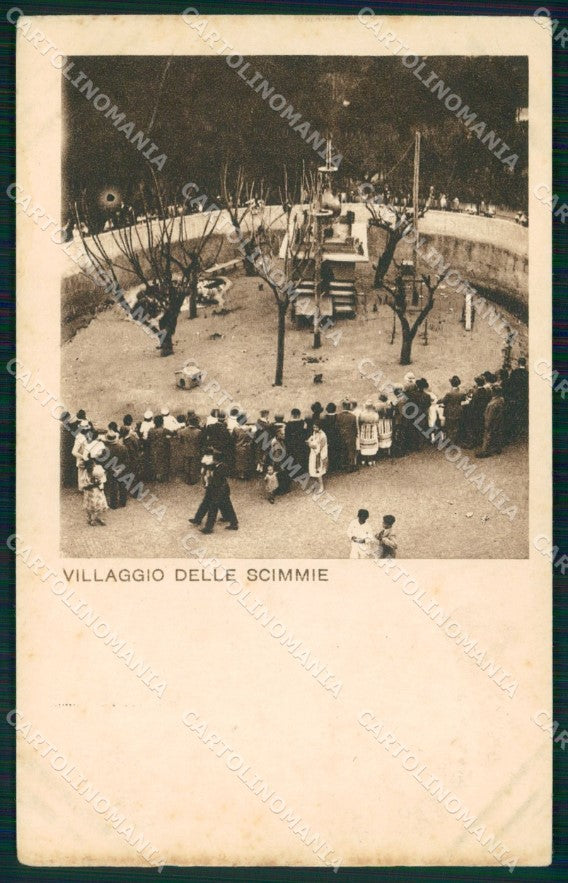 Roma Città Giardino Zoologico Villaggio Scimmie cartolina MX2751 – fronte