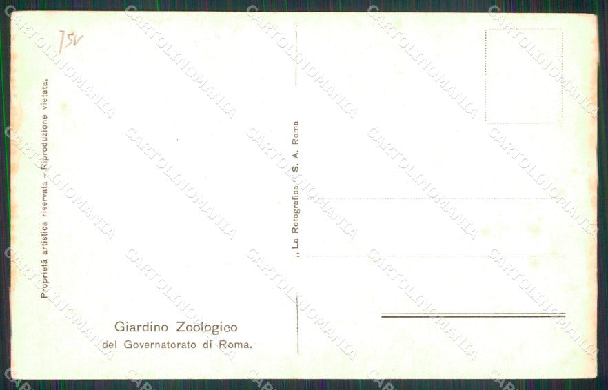 Roma Città Giardino Zoologico Villaggio Scimmie cartolina MX2751 – retro