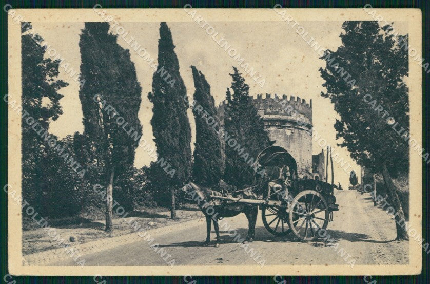 Roma Città Tomba Cecilia Metella cartolina MX2762 – fronte