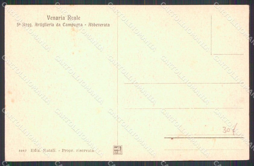 Torino Venaria Reale V Reggimento Artiglieria Campagna cartolina MX2866 – retro