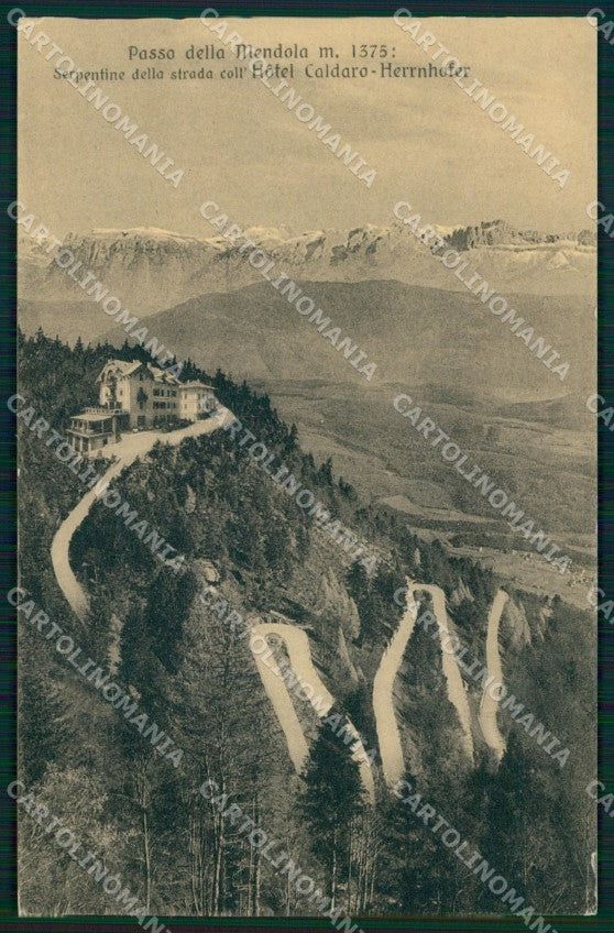 Bolzano Caldaro sulla Strada del Vino Passo Mendola Franzl 317 cartolina MX3024 – fronte