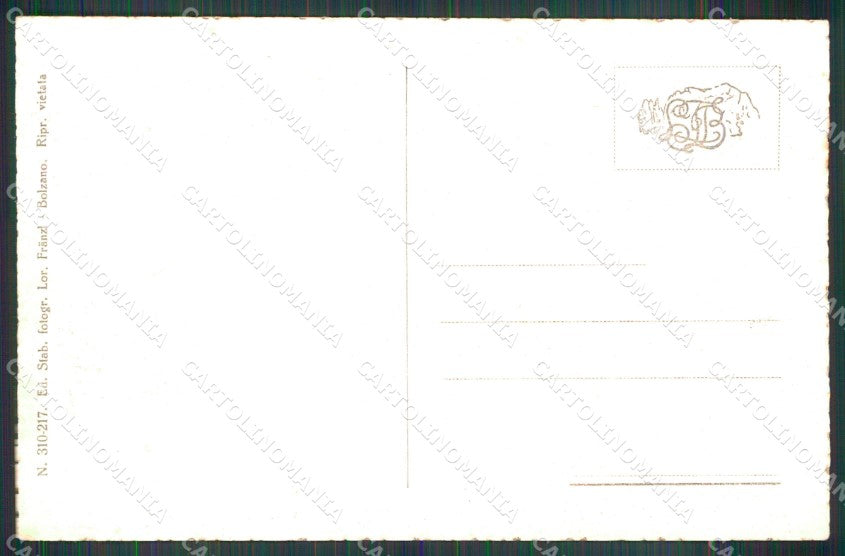 Bolzano Merano Castel San Zeno Torrente Franzl 310 217 cartolina MX3070 – retro