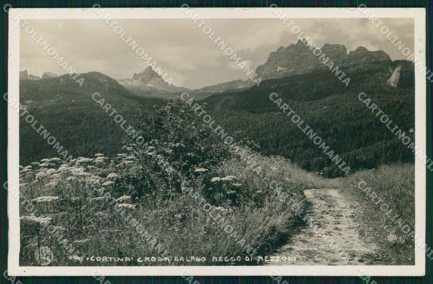 Belluno Cortina d'Ampezzo Croda da Lago Zardini Foto cartolina MX3194 – fronte