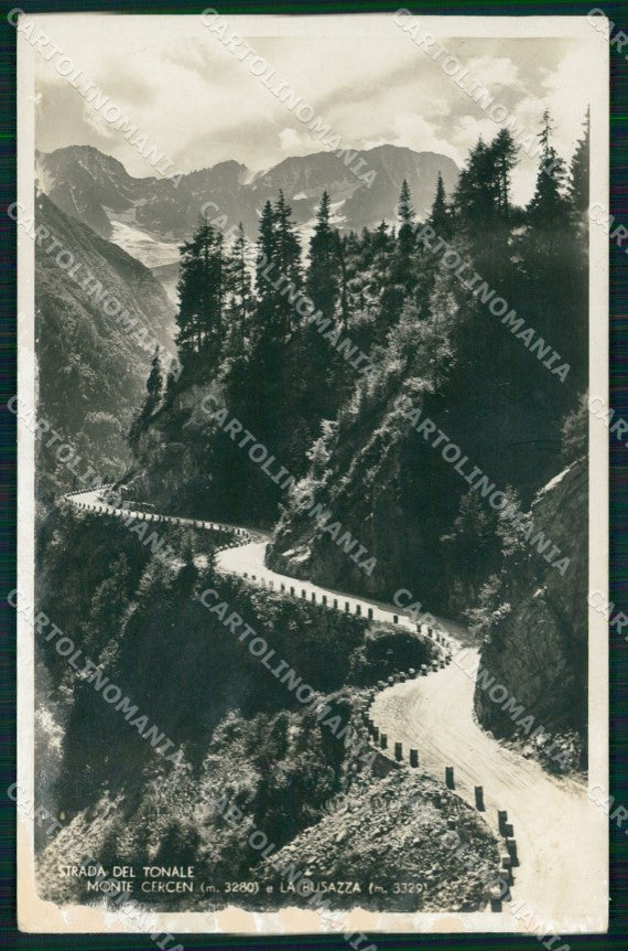 Trento Presanella Monte Cercen Busazza Foto cartolina MX3200 – fronte