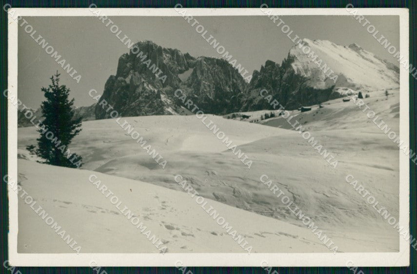 Trento Canazei Sassolungo Franzl 725 103 Foto cartolina MX3267 – fronte