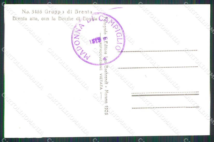 Trento Madonna di Campiglio Gruppo Brenta Foto cartolina MX3272 – retro