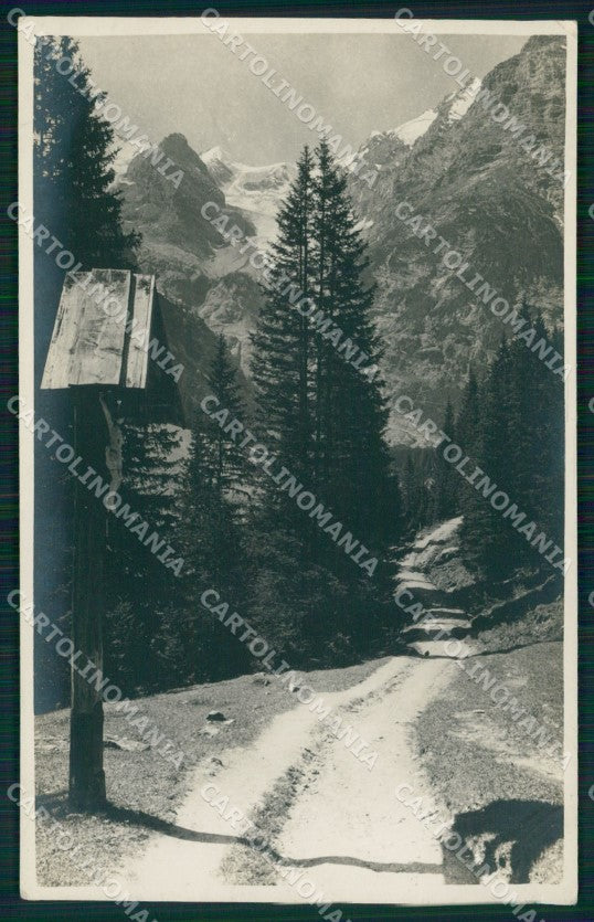Bolzano Stelvio Trafoi Sentiero Foto cartolina MX3281 – fronte