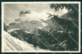 Trento Madonna di Campiglio Foto cartolina MX3324 – fronte