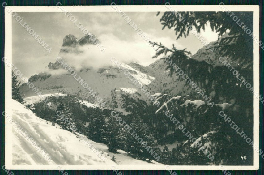 Trento Madonna di Campiglio Foto cartolina MX3324 – fronte