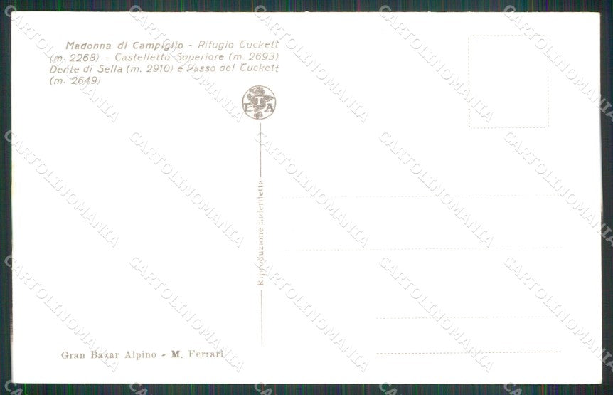Trento Madonna di Campiglio Rifugio Tuckett Foto cartolina MX3377 – retro
