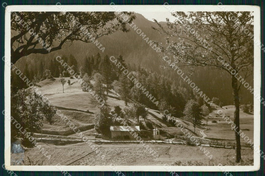 Trento Andalo Strada per Fai Foto cartolina MX3390 – fronte