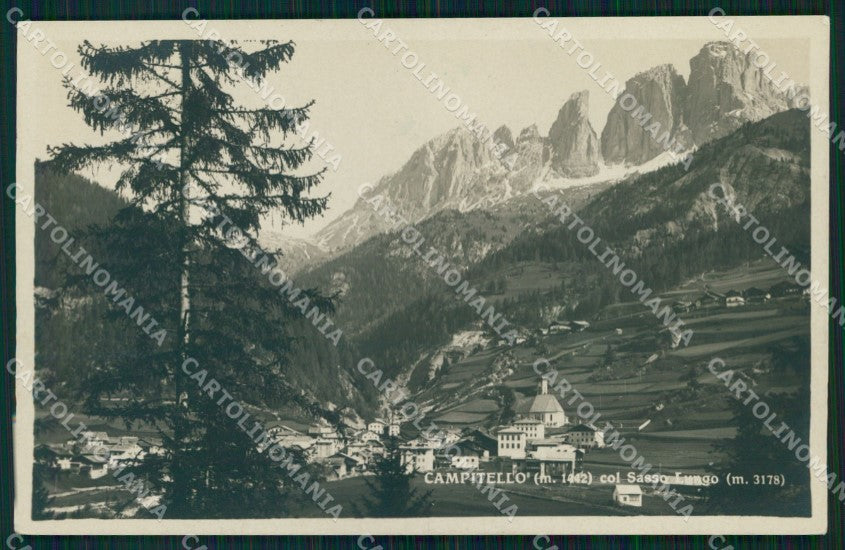 Trento Campitello di Fassa Veduta Generale Sassolungo Foto cartolina MX3419 – fronte