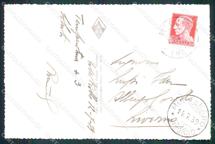 Trento San Martino di Castrozza Cimone Pala Campi Sci Foto cartolina MX3449 – retro