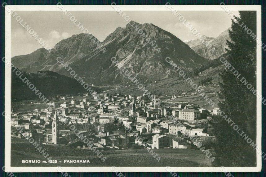 Sondrio Bormio Veduta Generale Foto cartolina MX3506 – fronte