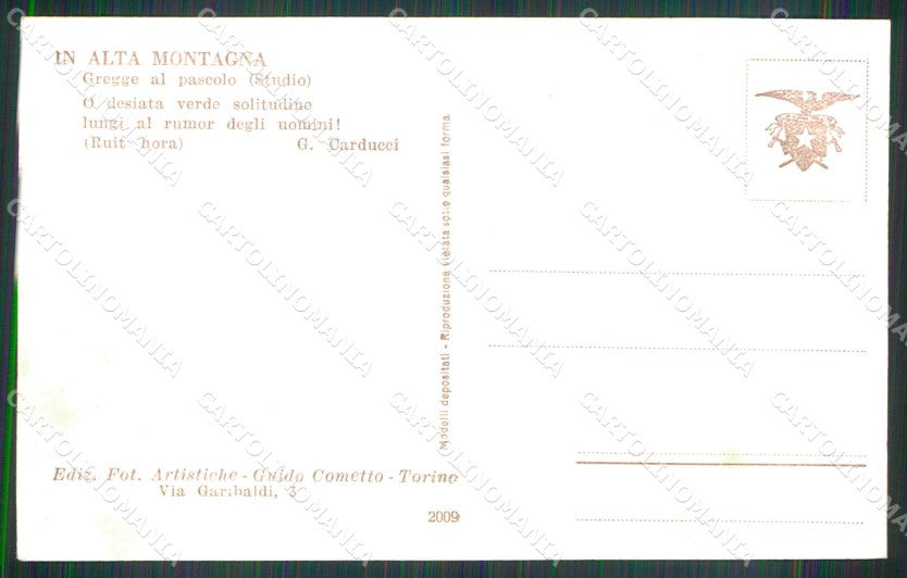 Torino Foto Cometto Alta Montagna Gregge Pascolo Carducci Foto cartolina MX3510 – retro