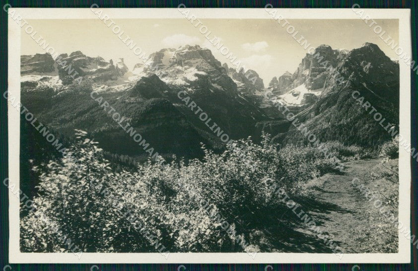 Trento Madonna di Campiglio Via del Panorama Gruppo Brenta Foto cartolina MX3550 – fronte