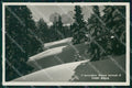 Trento San Martino di Castrozza Passo Rolle Foto cartolina MX3559 – fronte