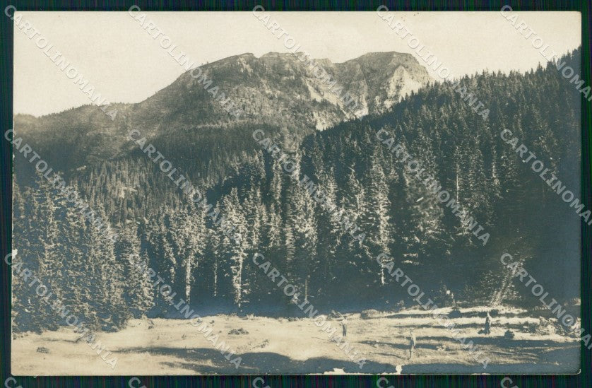 Trento Cles Val di Non Monte Peller Foto cartolina MX3589 – fronte