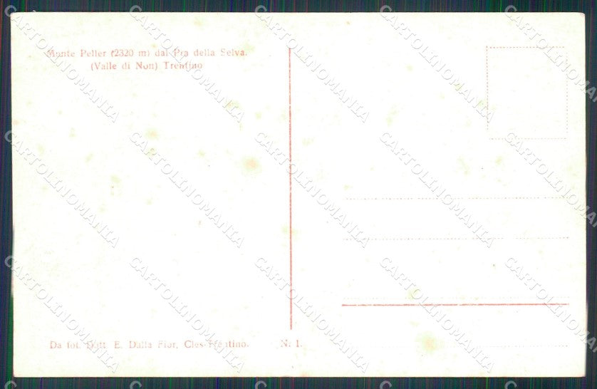 Trento Cles Val di Non Monte Peller Foto cartolina MX3589 – retro