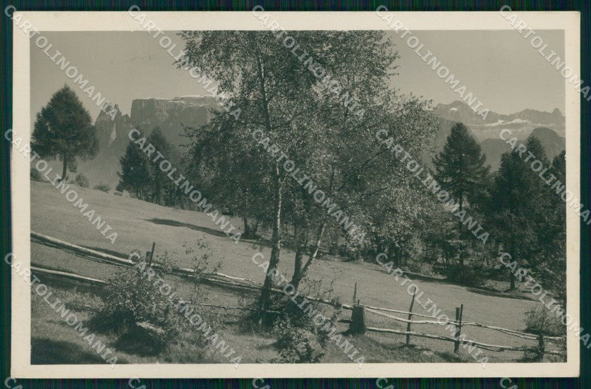 Bolzano Renon Motivo con Dolomiti Franzl 701 25 Foto cartolina MX3617 – fronte