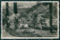 Bolzano Gries Paesaggio MACCHIA Franzl 700 98 Foto cartolina MX3624 – fronte