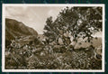 Napoli Capri Scenari di Fiaba Foto cartolina MX3644 – fronte