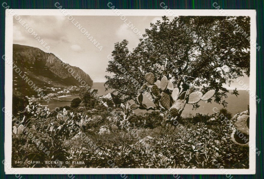 Napoli Capri Scenari di Fiaba Foto cartolina MX3644 – fronte