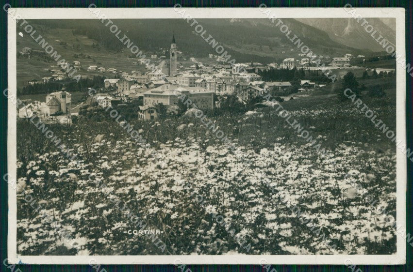 Belluno Cortina d'Ampezzo Veduta Generale Zardini Foto cartolina MX3661 – fronte