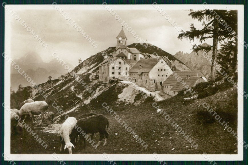 Udine Tarvisio Monte Santo Lussari Pecore al Pascolo Foto cartolina MX3695 – fronte