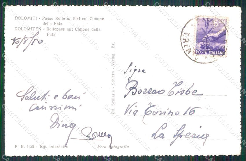 Trento San Martino di Castrozza Passo Rolle Cimone Pala Foto cartolina MX3720 – retro