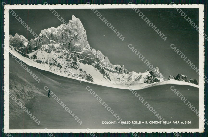 Trento San Martino Castrozza Passo Rolle Cimone Pala Sci Foto cartolina MX3721 – fronte