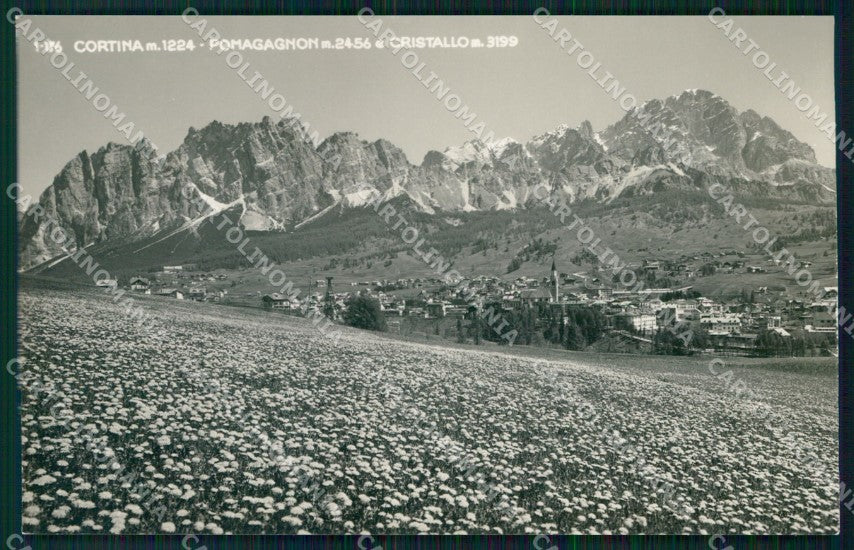 Belluno Cortina d'Ampezzo Pomagagnon Monte Cristallo Foto cartolina MX3726 – fronte