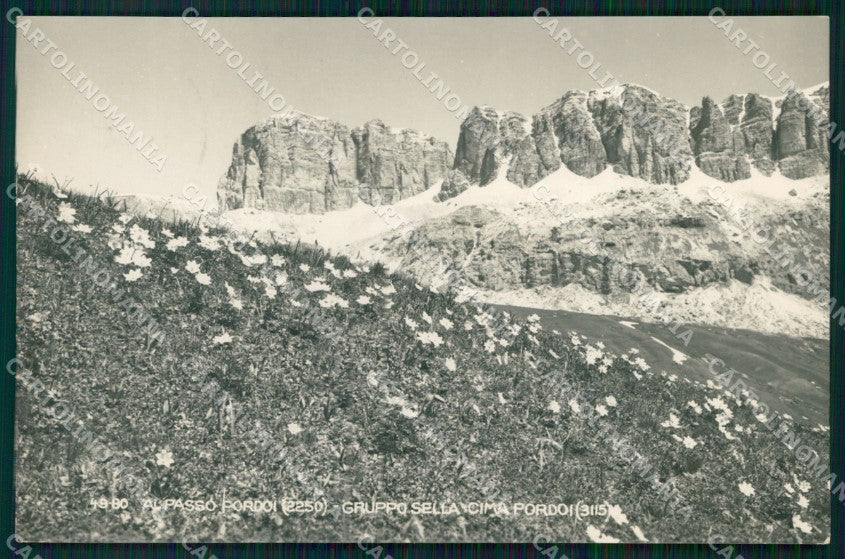 Trento Canazei Passo Pordoi Gruppo Sella Foto cartolina MX3755 – fronte
