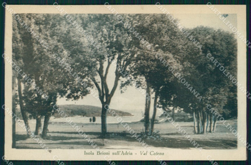Croatia Croazia Pula Pola Isola Brioni Val Catena cartolina MX3839 – fronte