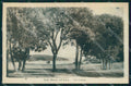 Croatia Croazia Pula Pola Isola Brioni Val Catena cartolina MX3839 – fronte