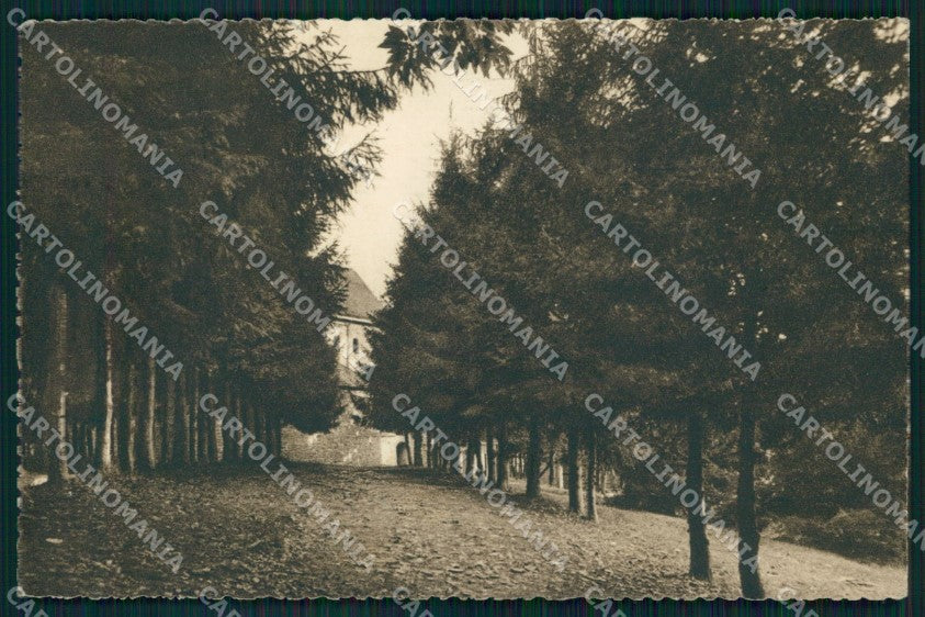 Treviso Possagno Col De Draga Casa Sacro Cuore Pineta cartolina MX3856 – fronte